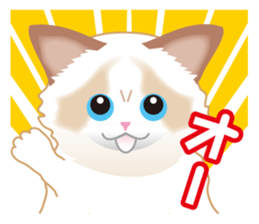 Silly Ragdoll sticker #1606950