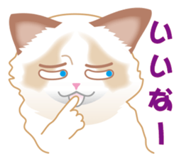 Silly Ragdoll sticker #1606951