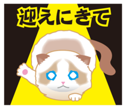 Silly Ragdoll sticker #1606952
