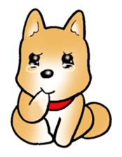 Shiba inu's Sticker(Japanese dog) sticker #1607123
