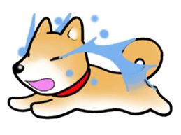 Shiba inu's Sticker(Japanese dog) sticker #1607124