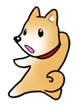 Shiba inu's Sticker(Japanese dog) sticker #1607134