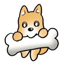 Shiba inu's Sticker(Japanese dog) sticker #1607136
