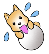 Shiba inu's Sticker(Japanese dog) sticker #1607140