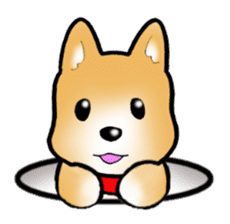 Shiba inu's Sticker(Japanese dog) sticker #1607141