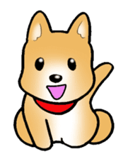 Shiba inu's Sticker(Japanese dog) sticker #1607144