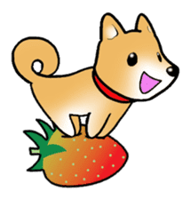 Shiba inu's Sticker(Japanese dog) sticker #1607152