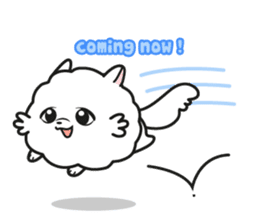 Pomi, the white pomerenian pom puppy sticker #1607467