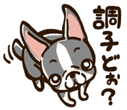 Hana Pecha Kawaii Dogs vol.2 sticker #1609702