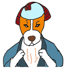 kabuki dogs & yakusya cats