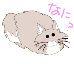 Nol Cat and Rusi Cat sticker #1610320