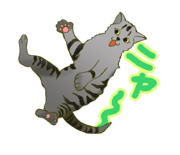 Jumping Cats!!! sticker #1611807