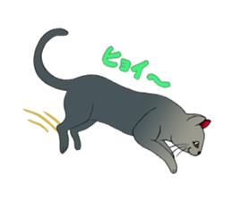 Jumping Cats!!! sticker #1611811