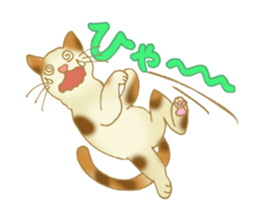 Jumping Cats!!! sticker #1611816