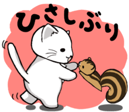 Pote cat&Pote squirrel sticker #1613681