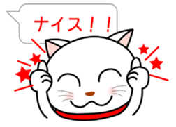 White cat everyday conversation sticker #1614241