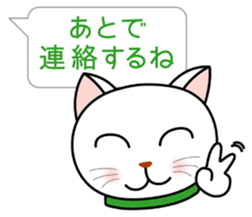 White cat everyday conversation sticker #1614242