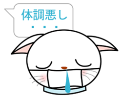 White cat everyday conversation sticker #1614260