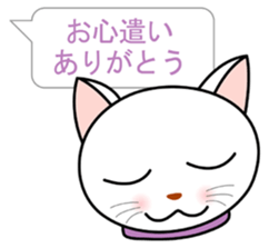 White cat everyday conversation sticker #1614271