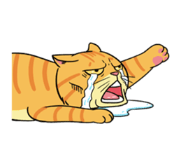 Tong Fat cat sticker #1615009