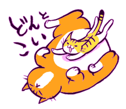 tabby cat diary sticker #1615305