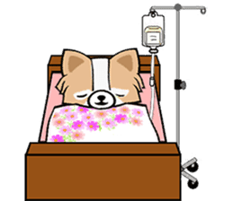 Sakura First Coming sticker #1615825