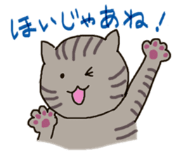 Nagoya dialect with cats sticker #1619962