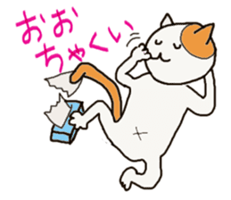 Nagoya dialect with cats sticker #1619983