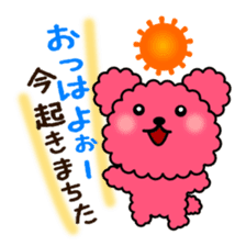 Poodle Bear spoiled sticker #1620793