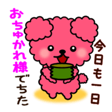 Poodle Bear spoiled sticker #1620794