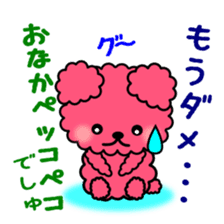 Poodle Bear spoiled sticker #1620796