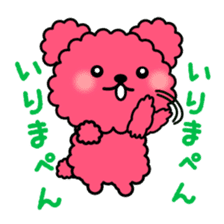 Poodle Bear spoiled sticker #1620800