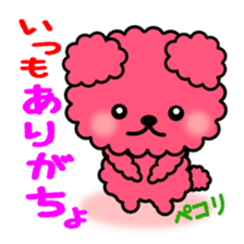 Poodle Bear spoiled sticker #1620805