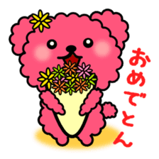 Poodle Bear spoiled sticker #1620830