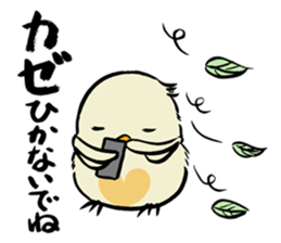 PIYOPIYO days sticker #1620904