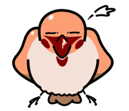 `s Sparrow sticker #1622424