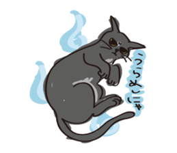 A free black cat  "YORU" sticker #1623635