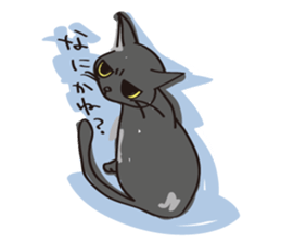 A free black cat  "YORU" sticker #1623638