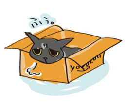 A free black cat  "YORU" sticker #1623642