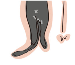 A free black cat  "YORU" sticker #1623645