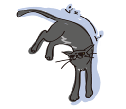 A free black cat  "YORU" sticker #1623646