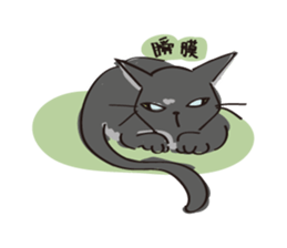 A free black cat  "YORU" sticker #1623661