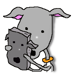 I'm an Italian Greyhound My name is QOO!