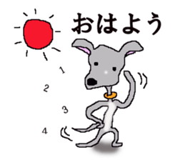 I'm an Italian Greyhound My name is QOO! sticker #1624914