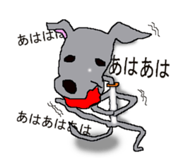 I'm an Italian Greyhound My name is QOO! sticker #1624915