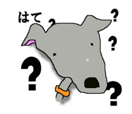 I'm an Italian Greyhound My name is QOO! sticker #1624916