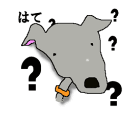 I'm an Italian Greyhound My name is QOO! sticker #1624916