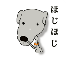 I'm an Italian Greyhound My name is QOO! sticker #1624917