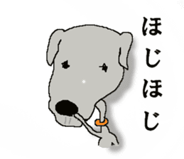 I'm an Italian Greyhound My name is QOO! sticker #1624917