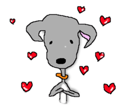 I'm an Italian Greyhound My name is QOO! sticker #1624918